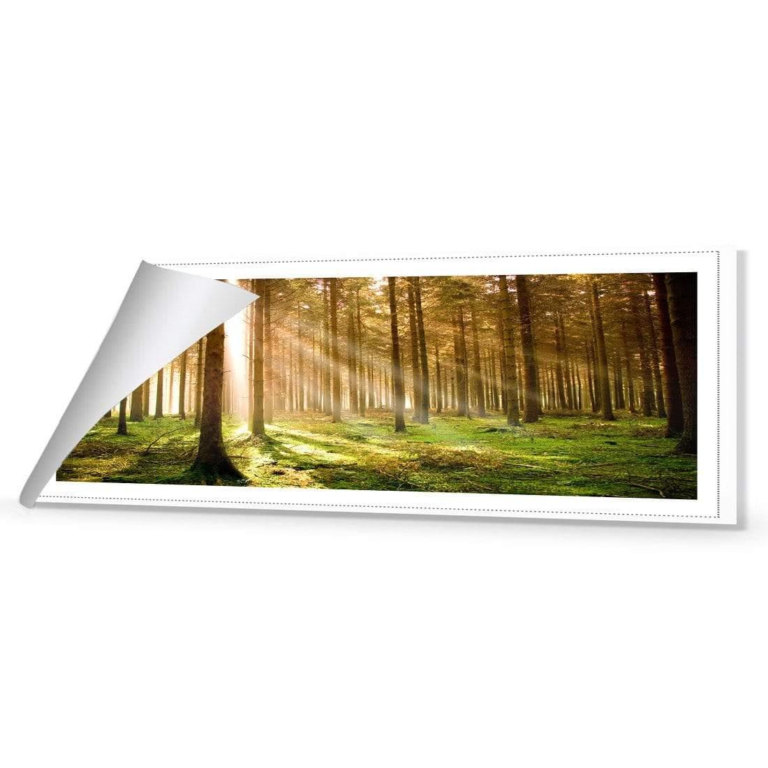 Autumn Pine Forest (Long) - Wall Art Designs - 896_AL_H WAD_CP - MPY - 260 - M - R_60x20_NONE