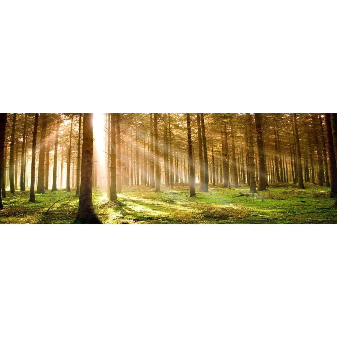 Autumn Pine Forest (Long) - Wall Art Designs - 896_AL_H WAD_CP - MPY - 260 - M - S - S_60x20_NONE