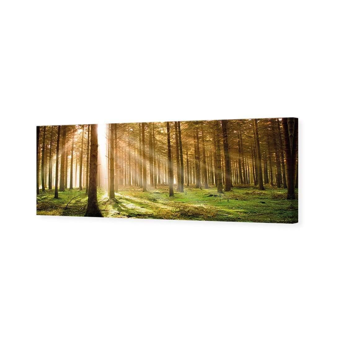 Autumn Pine Forest (Long) - Wall Art Designs - 896_AL_H WAD_CP - MPY - 260 - M - S - S_60x20_NONE