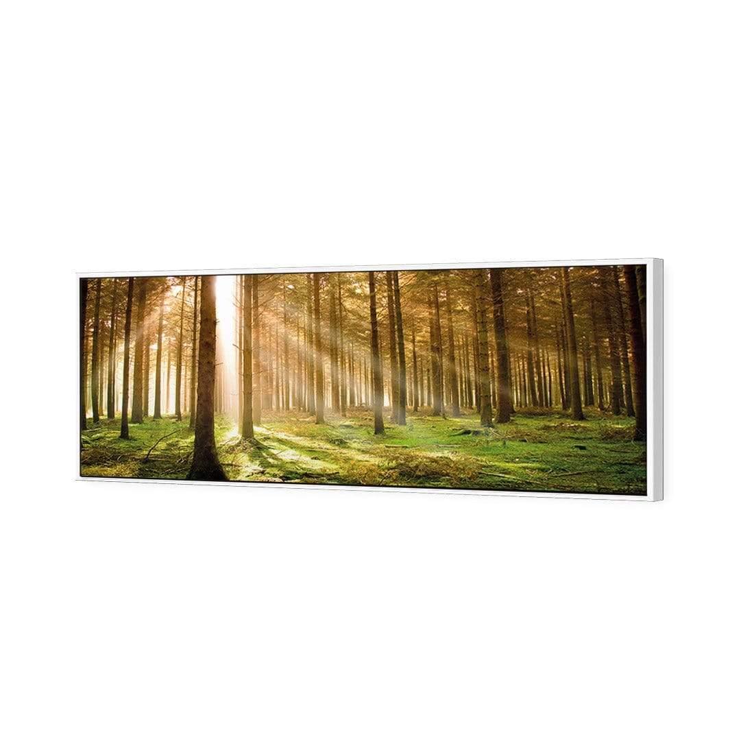 Autumn Pine Forest (Long) - Wall Art Designs - 896_AL_H WAD_CP - MPY - 260 - M - S - S_60x20_S - 1550 - WHT