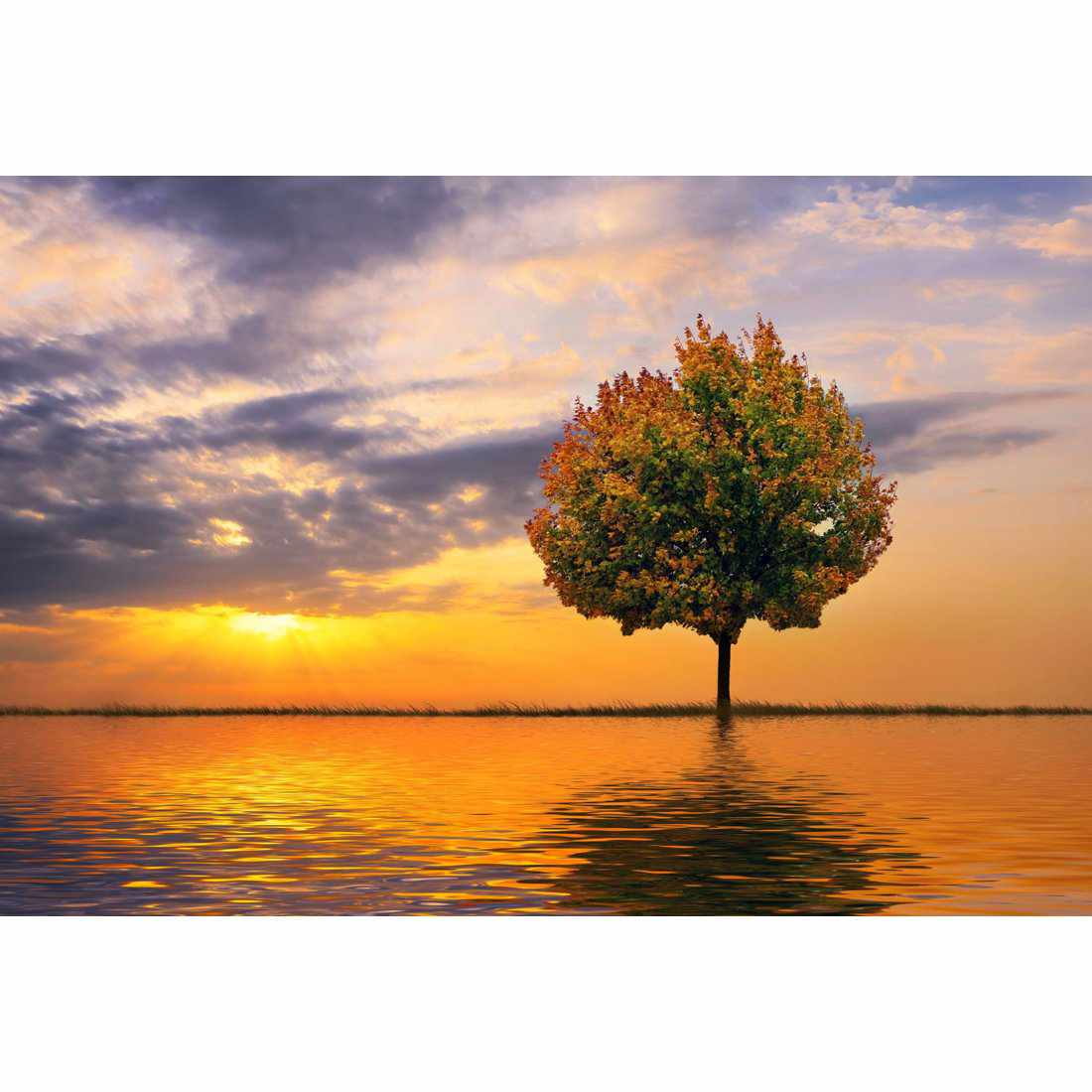 Autumn Reflection Canvas Art - Wall Art Designs - 1846_AR_H WAD_CP - MPY - 260 - M - S - S_45x30_NONE