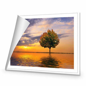 Autumn Reflection | Standard Canvas | No Frame | Rolled Canvas