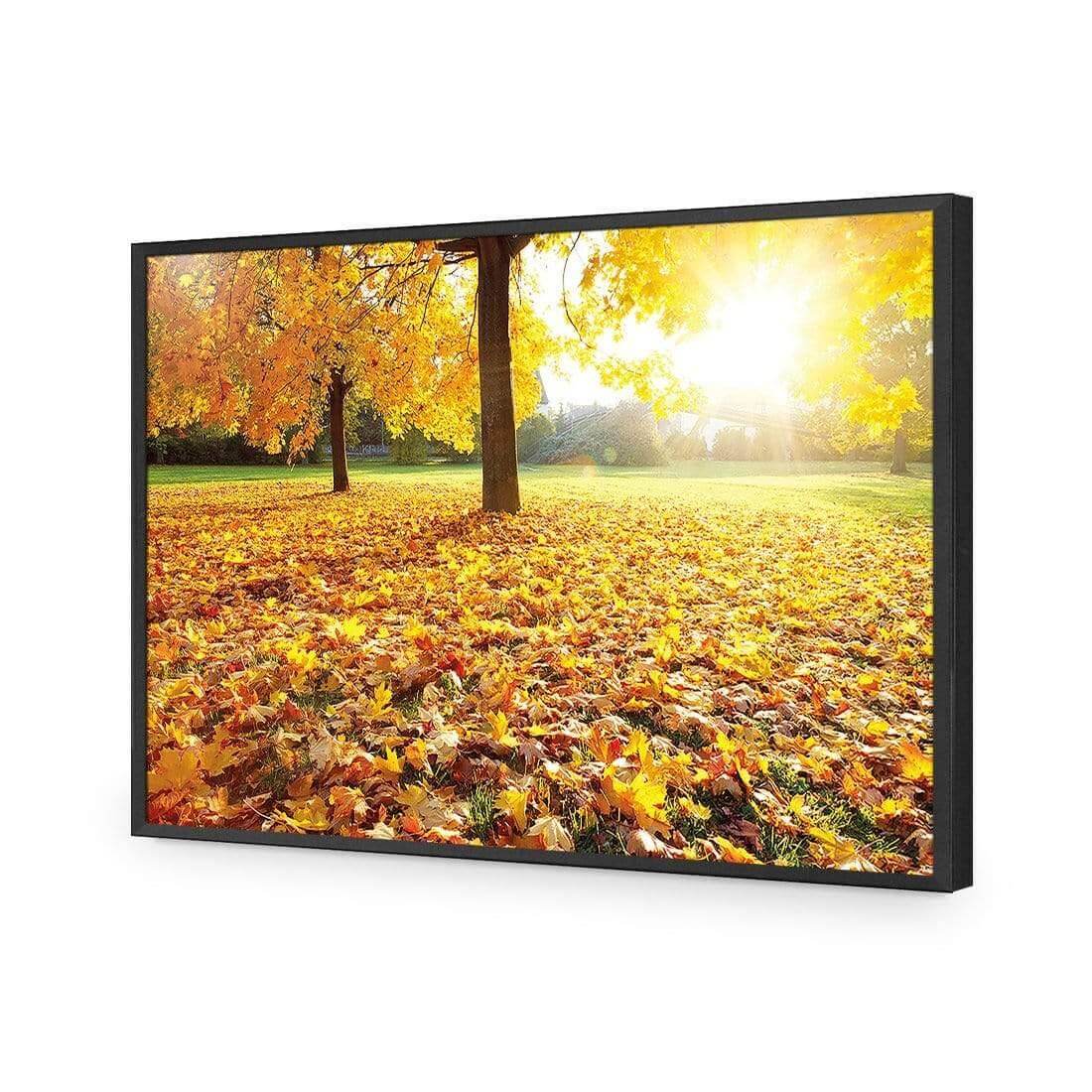 Autumn Sunshine | Classic Acrylic | Flat Frame No Border | Black