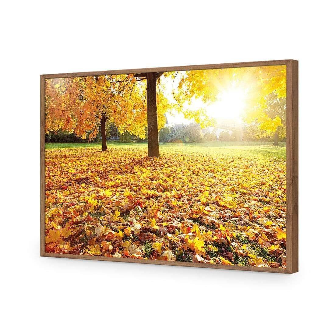 Autumn Sunshine | Classic Acrylic | Flat Frame No Border | Natural
