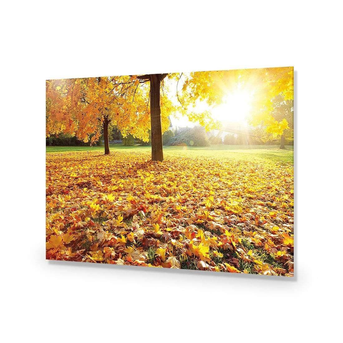 Autumn Sunshine | Classic Acrylic | No Frame No Border