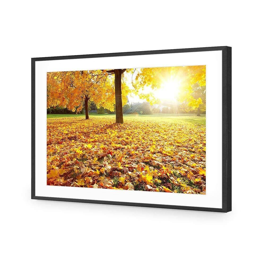 Autumn Sunshine | Classic Acrylic | Flat Frame With Border | Black