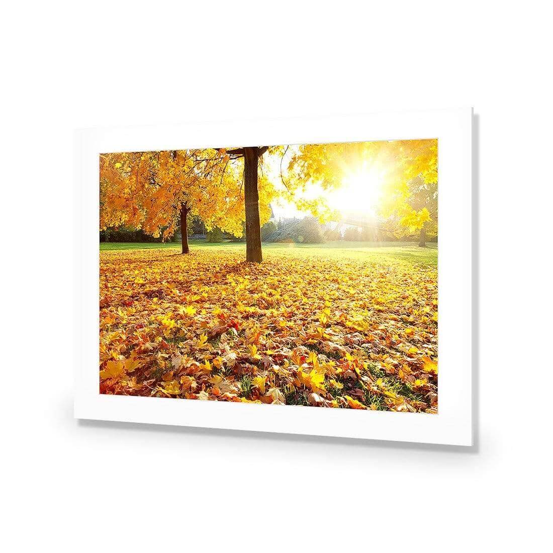 Autumn Sunshine | Classic Acrylic | No Frame With Border