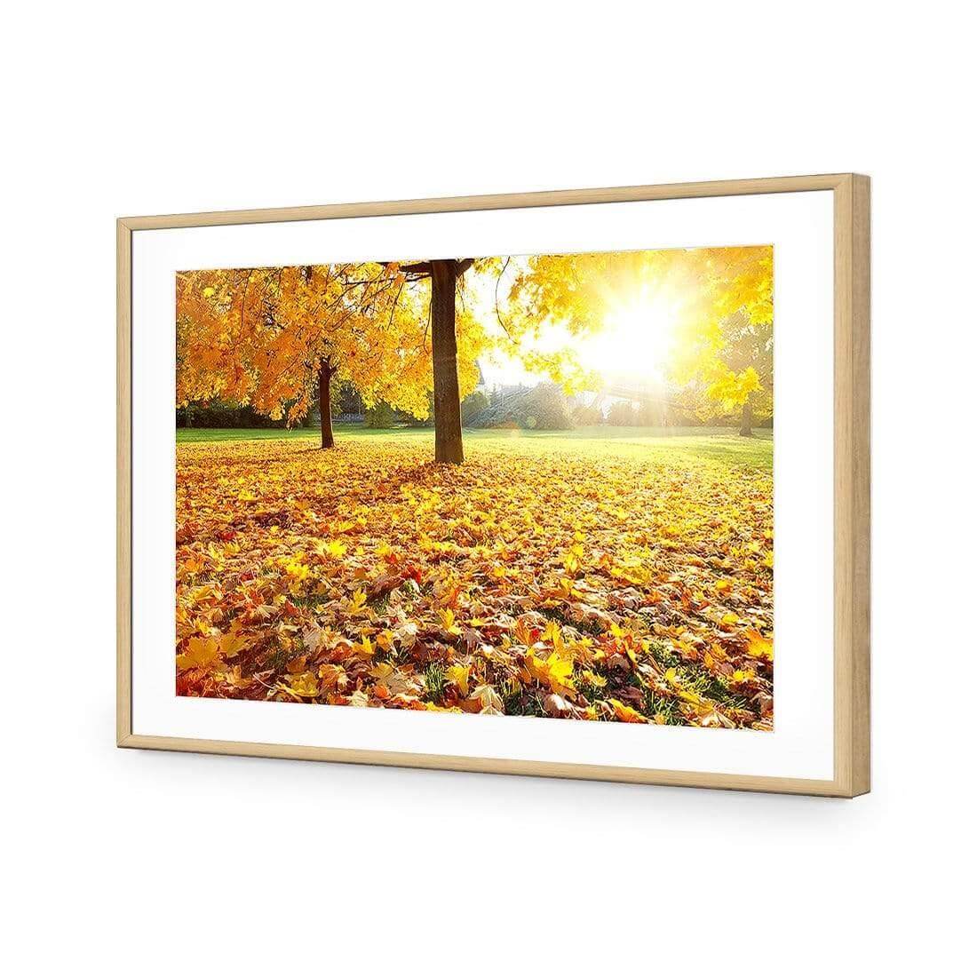 Autumn Sunshine | Classic Acrylic | Flat Frame With Border | Oak