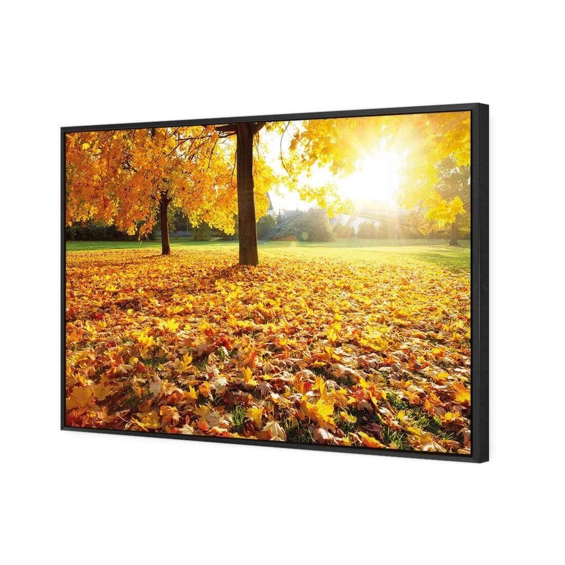 Autumn Sunshine | Classic Canvas | Floating Frame | Black