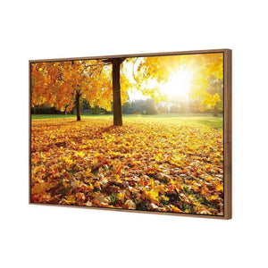 Autumn Sunshine | Classic Canvas | Floating Frame | Natural