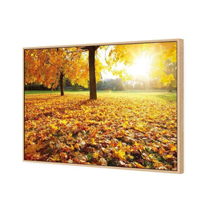 Autumn Sunshine | Classic Canvas | Floating Frame | Oak