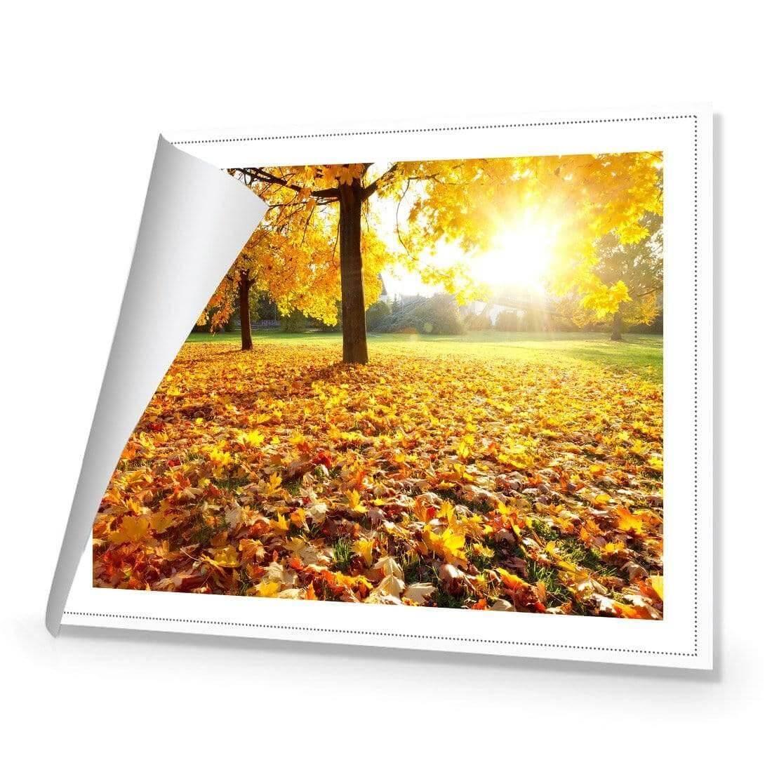 Autumn Sunshine | Classic Canvas | No Frame | Rolled Canvas