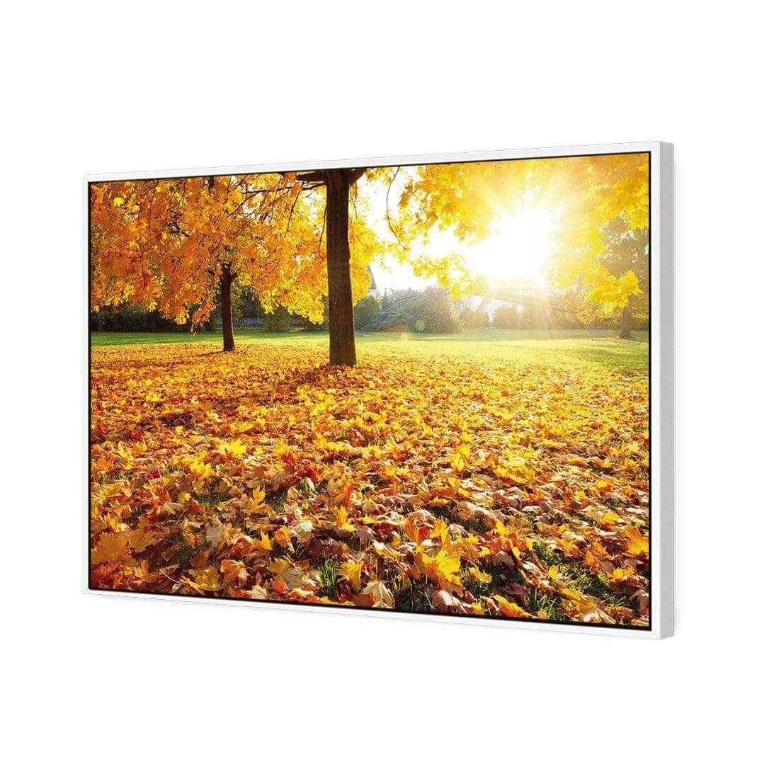 Autumn Sunshine | Classic Canvas | Floating Frame | White