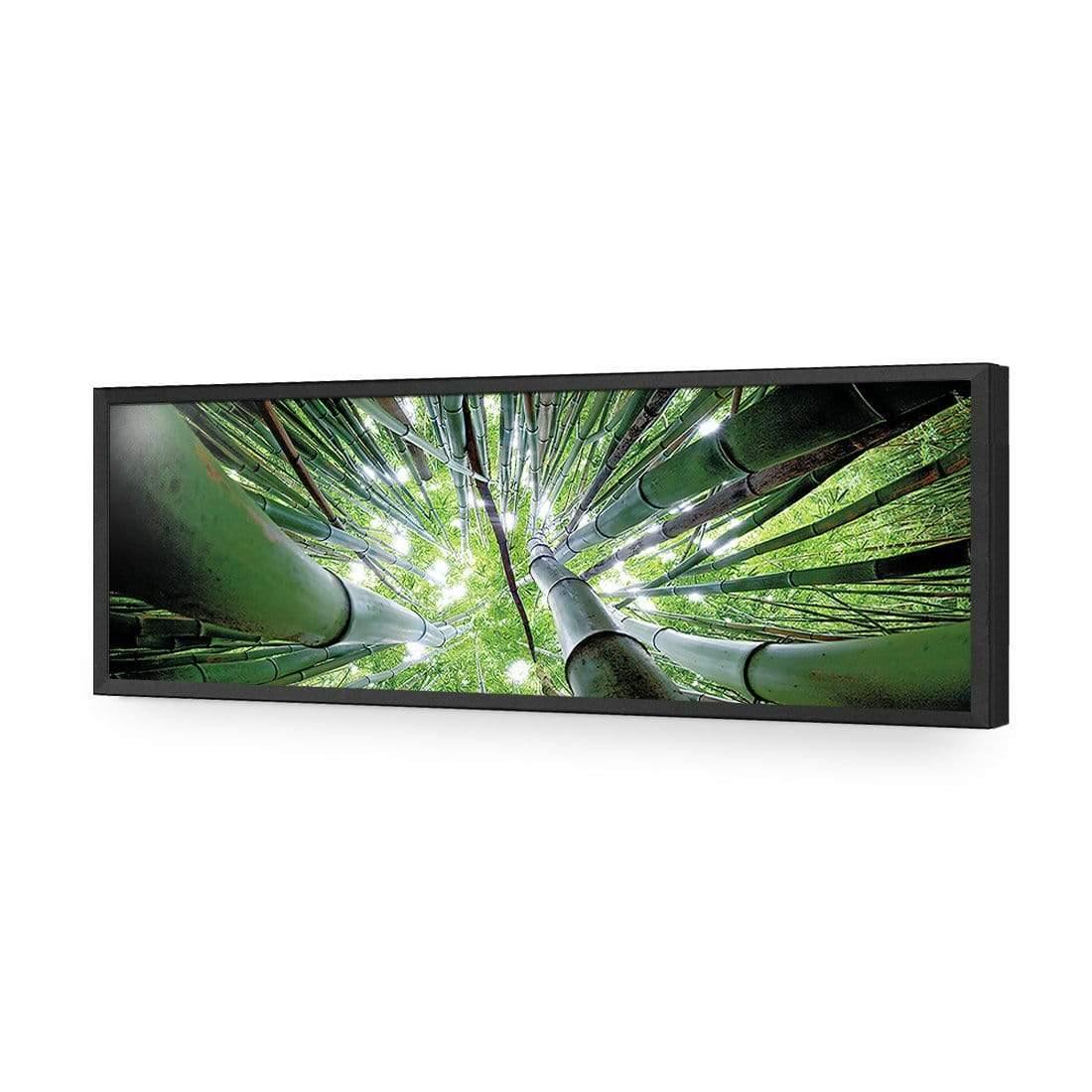 Bamboo From Above (Long) - Wall Art Designs - 3039_AL_H WAD_AP - 030 - EDG_90x30_S - 2538 - BLK