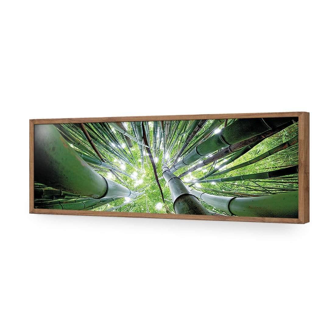 Bamboo From Above (Long) - Wall Art Designs - 3039_AL_H WAD_AP - 030 - EDG_90x30_S - 2538 - NAT