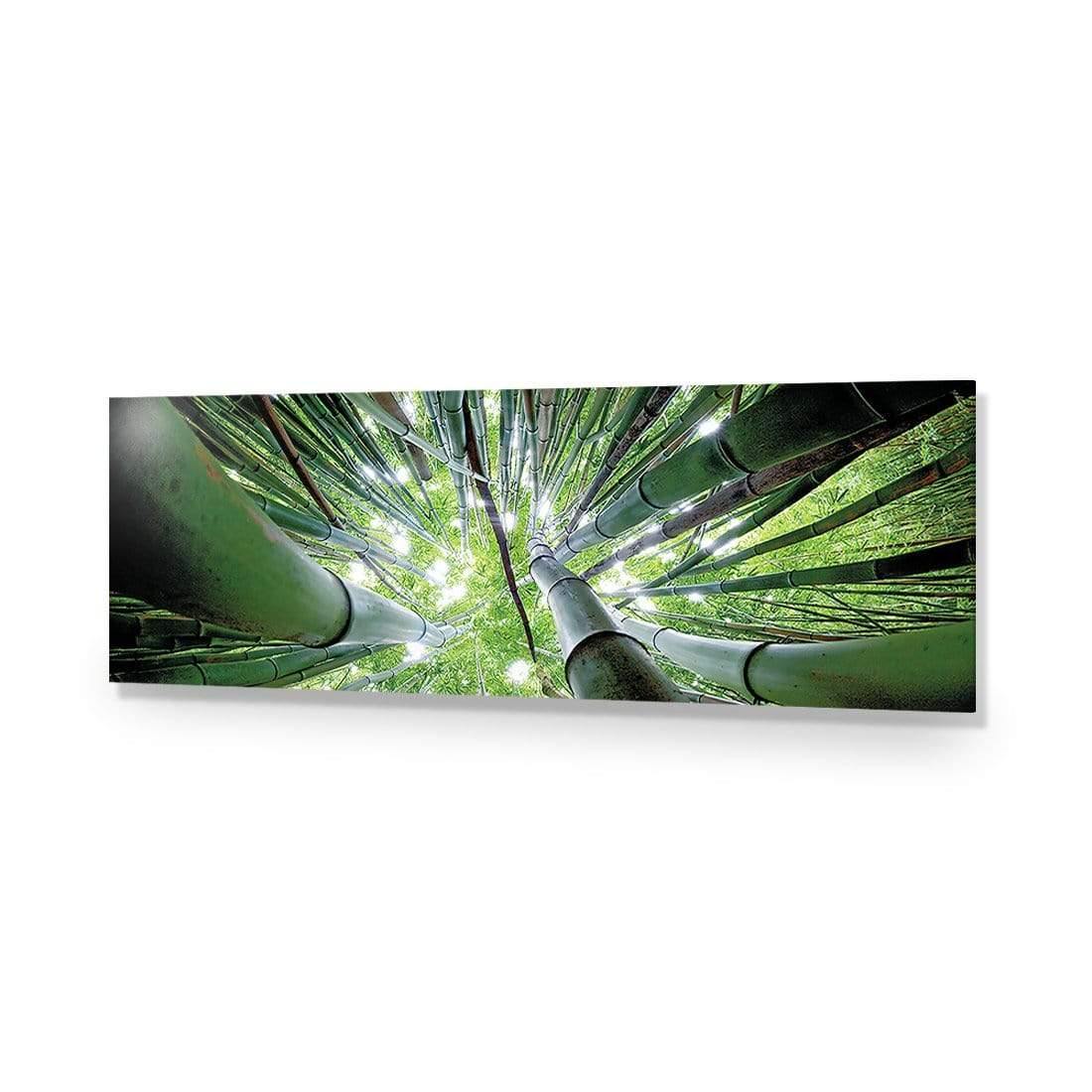 Bamboo From Above (Long) - Wall Art Designs - 3039_AL_H WAD_AP - 030 - EDG_90x30_NONE