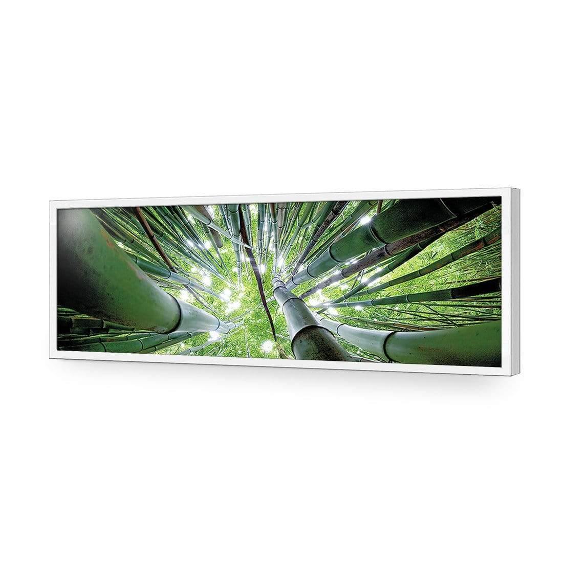 Bamboo From Above (Long) - Wall Art Designs - 3039_AL_H WAD_AP - 030 - EDG_90x30_S - 2538 - WHT