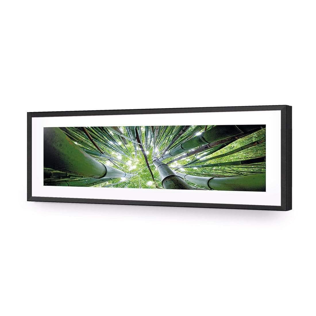 Bamboo From Above (Long) - Wall Art Designs - 3039_AL_H WAD_AP - 030 - MAT_90x30_S - 2538 - BLK