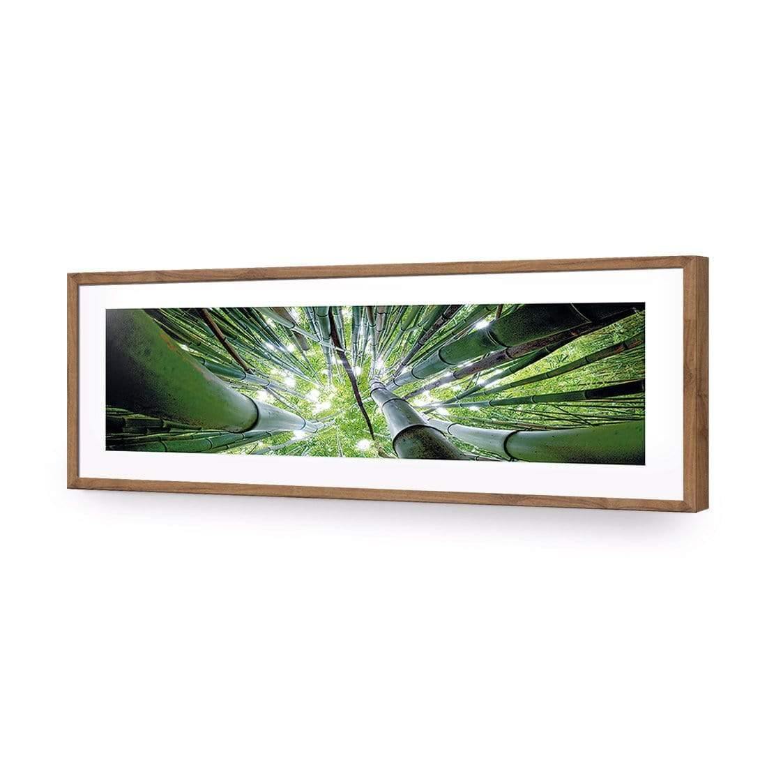 Bamboo From Above (Long) - Wall Art Designs - 3039_AL_H WAD_AP - 030 - MAT_90x30_S - 2538 - NAT