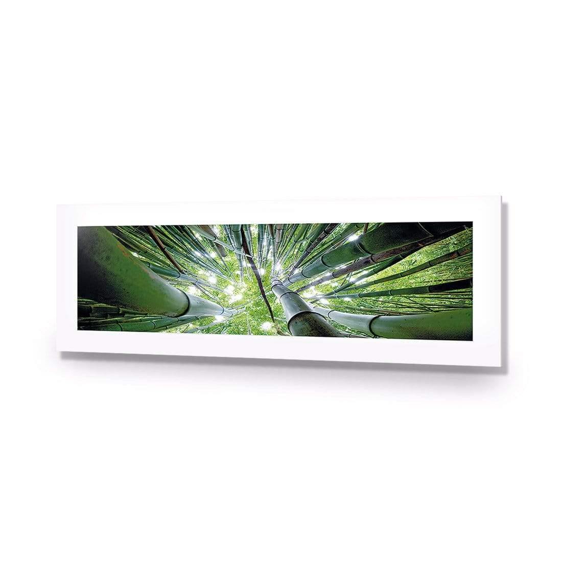 Bamboo From Above (Long) - Wall Art Designs - 3039_AL_H WAD_AP - 030 - MAT_90x30_NONE