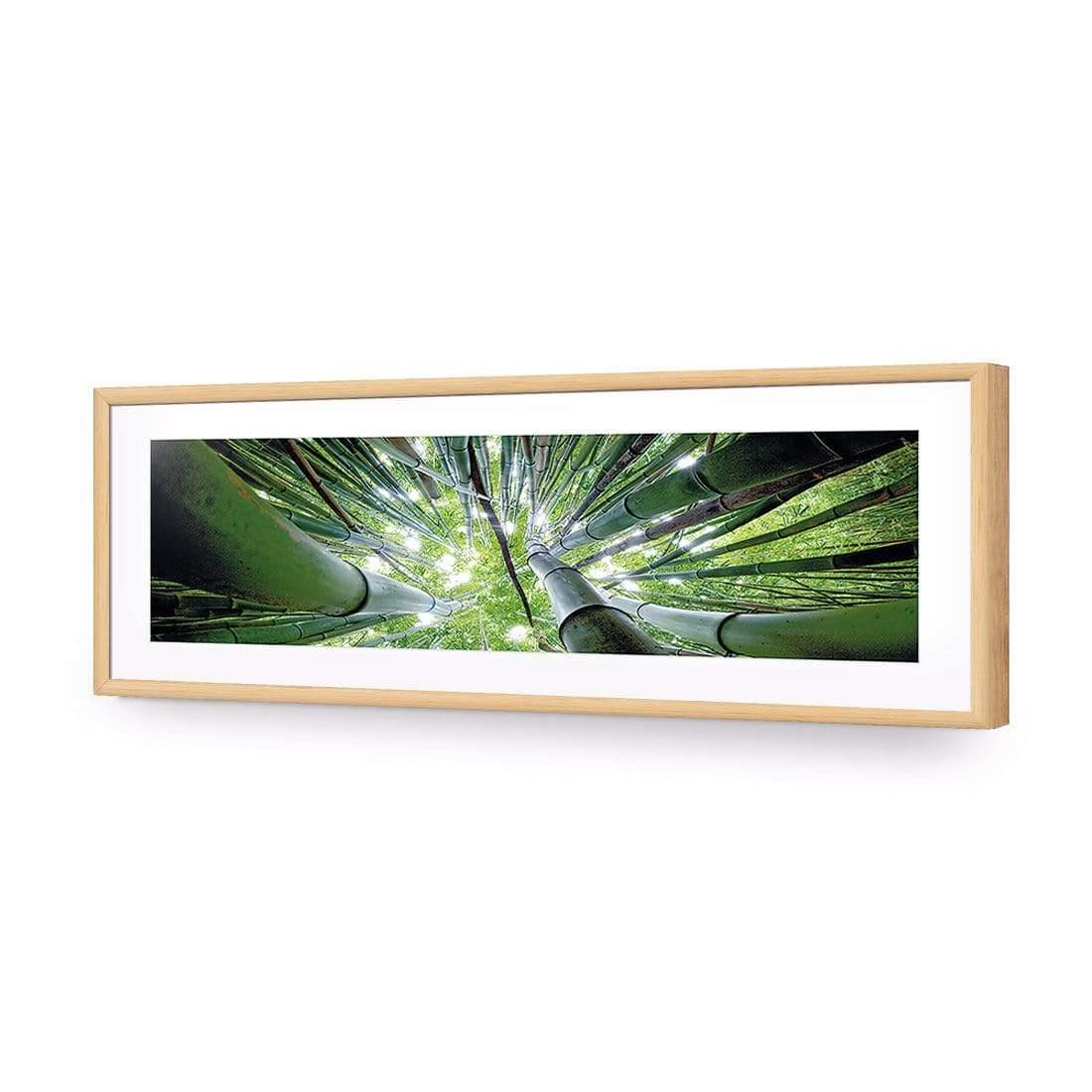 Bamboo From Above (Long) - Wall Art Designs - 3039_AL_H WAD_AP - 030 - MAT_90x30_S - 2538 - OAK