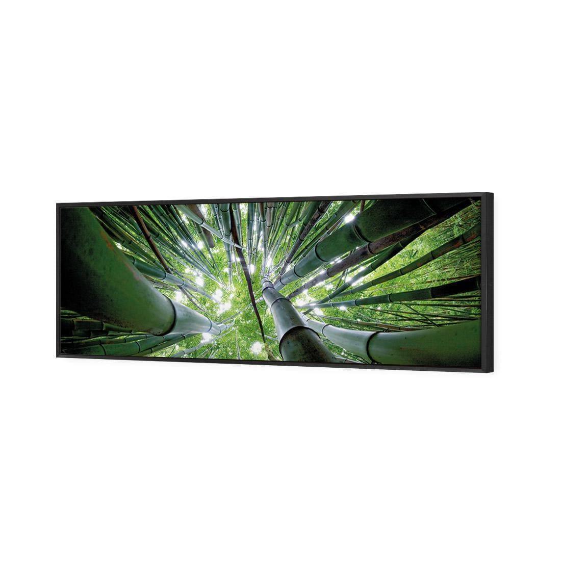 Bamboo From Above (Long) - Wall Art Designs - 3039_AL_H WAD_CP - MPY - 260 - M - S - S_60x20_S - 1550 - BLK