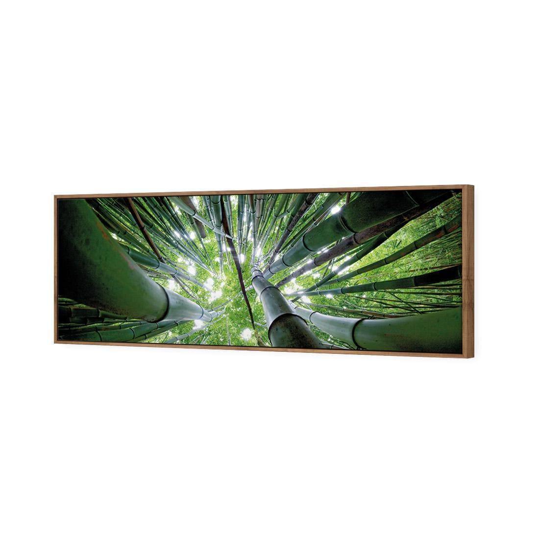 Bamboo From Above (Long) - Wall Art Designs - 3039_AL_H WAD_CP - MPY - 260 - M - S - S_60x20_S - 1550 - NAT