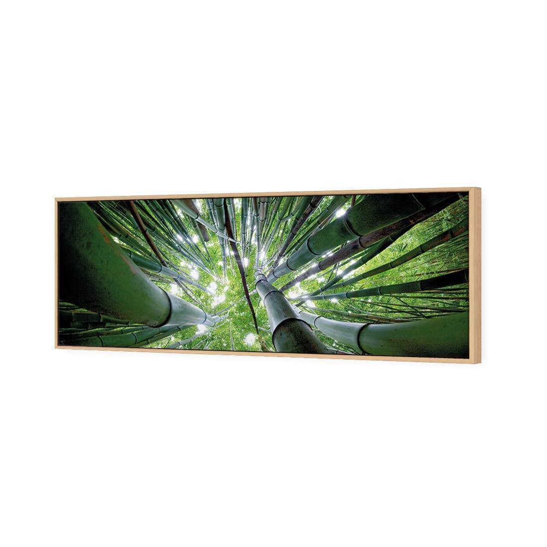 Bamboo From Above (Long) - Wall Art Designs - 3039_AL_H WAD_CP - MPY - 260 - M - S - S_60x20_S - 1550 - OAK