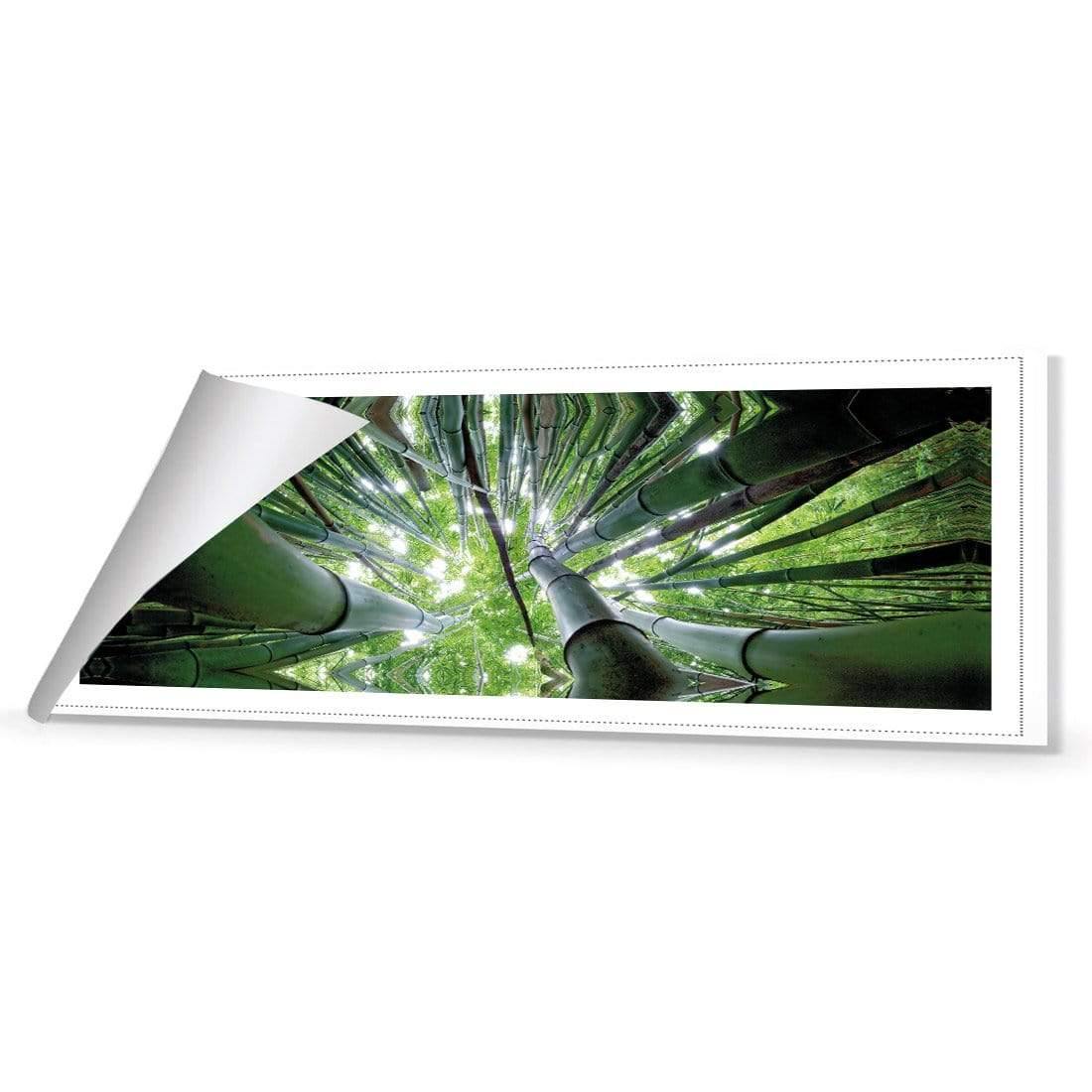 Bamboo From Above (Long) - Wall Art Designs - 3039_AL_H WAD_CP - MPY - 260 - M - R_60x20_NONE