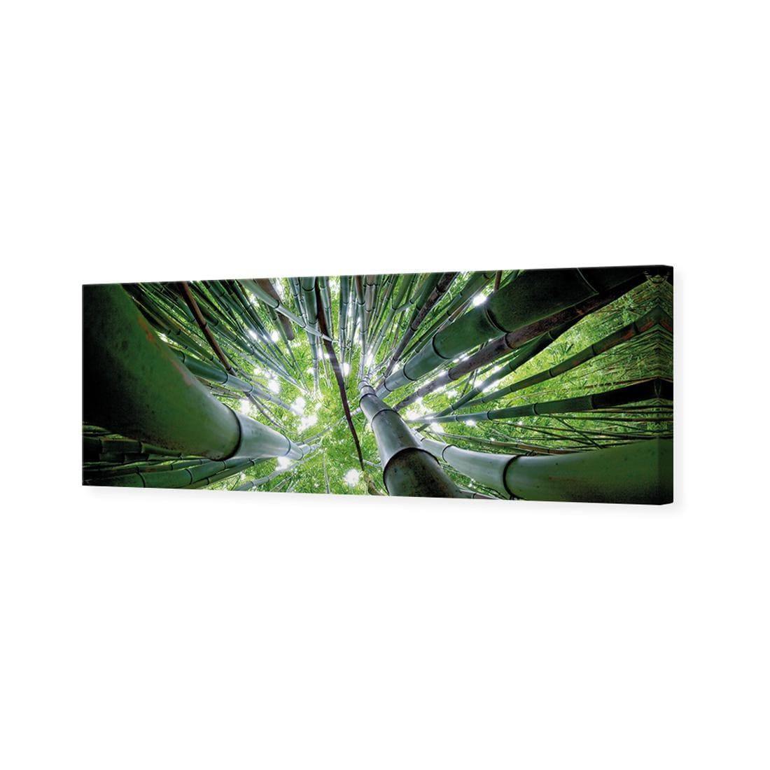 Bamboo From Above (Long) - Wall Art Designs - 3039_AL_H WAD_CP - MPY - 260 - M - S - S_60x20_NONE