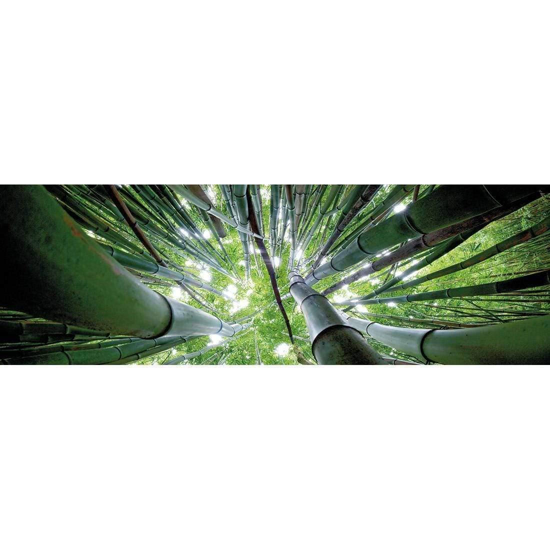 Bamboo From Above (Long) - Wall Art Designs - 3039_AL_H WAD_CP - MPY - 260 - M - S - S_60x20_NONE