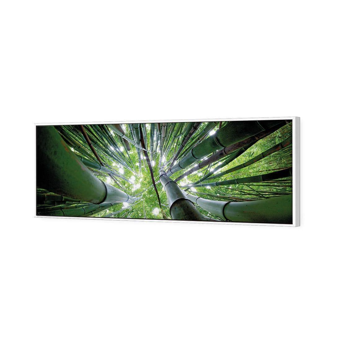 Bamboo From Above (Long) - Wall Art Designs - 3039_AL_H WAD_CP - MPY - 260 - M - S - S_60x20_S - 1550 - WHT