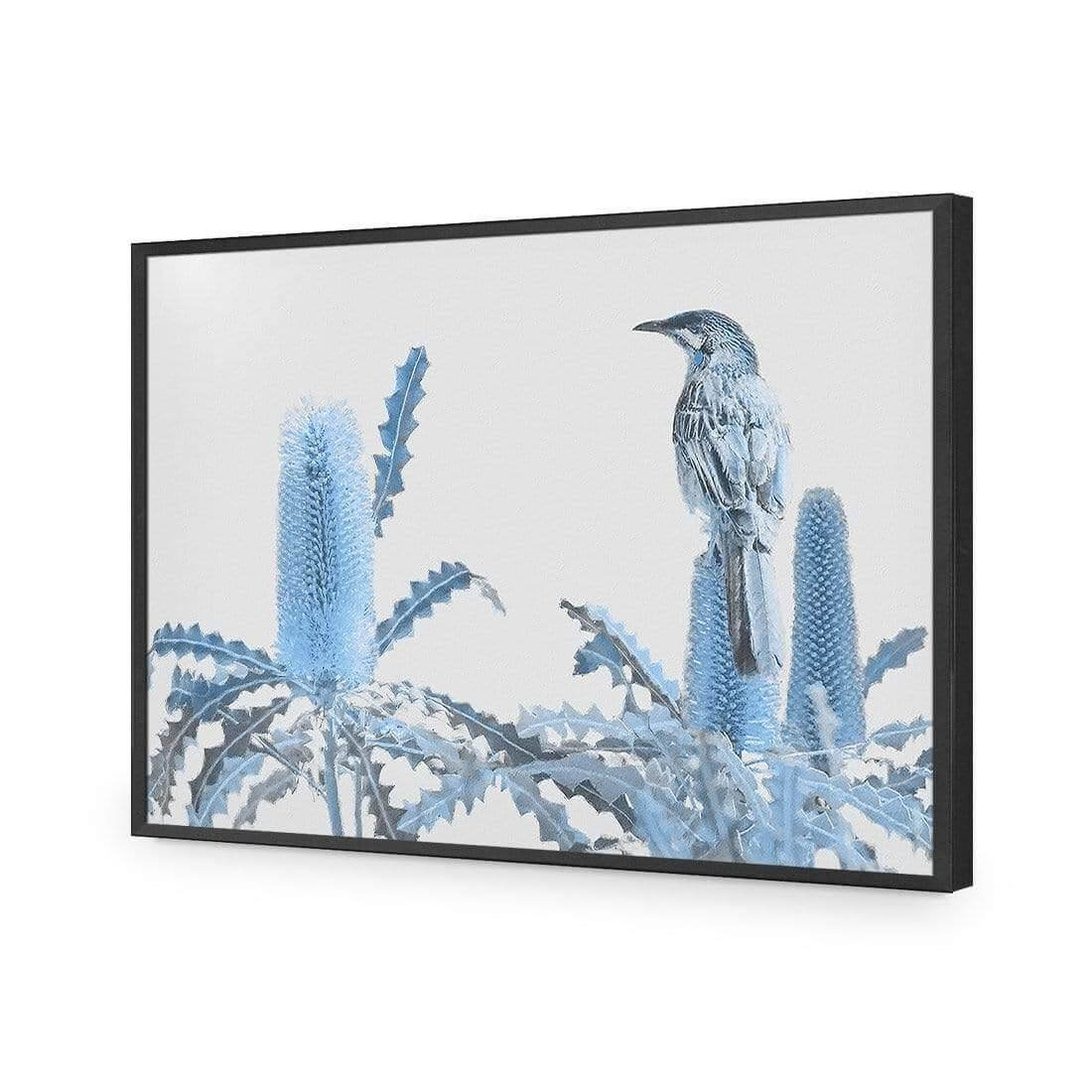 Banksia Beauty and Wattlebird - Wall Art Designs - AU_1115_AR_H WAD_AP - 030 - EDG_45x30_S - 2538 - BLK