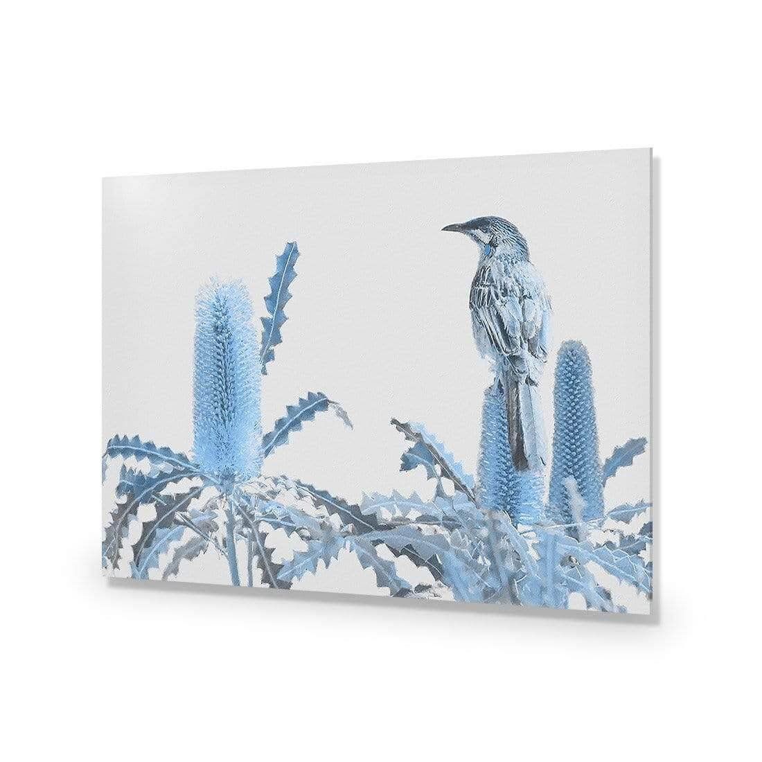 Banksia Beauty and Wattlebird - Wall Art Designs - AU_1115_AR_H WAD_AP - 030 - EDG_45x30_NONE