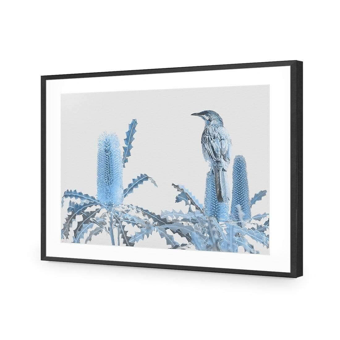 Banksia Beauty and Wattlebird - Wall Art Designs - AU_1115_AR_H WAD_AP - 030 - MAT_45x30_S - 2538 - BLK