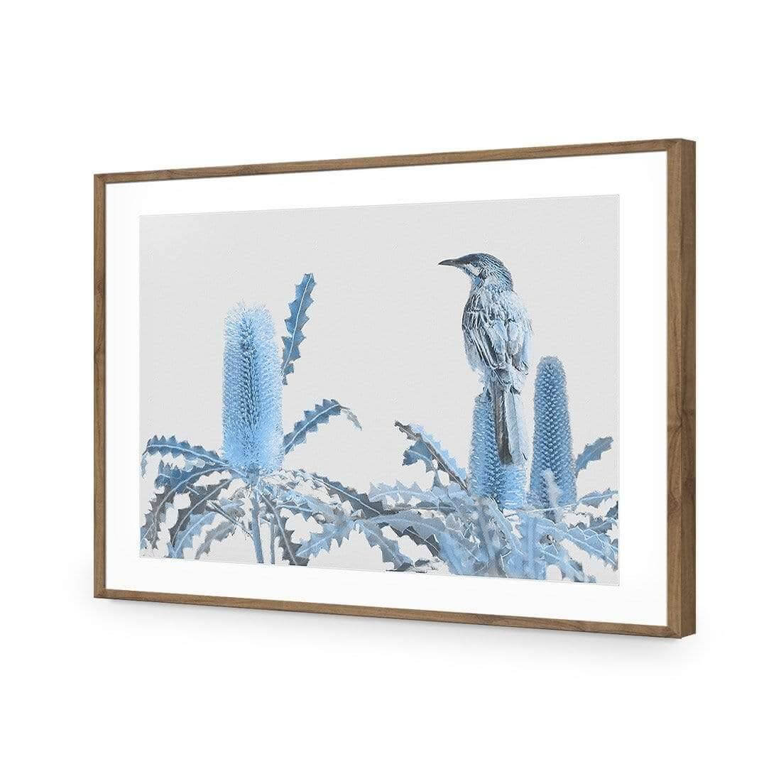 Banksia Beauty and Wattlebird - Wall Art Designs - AU_1115_AR_H WAD_AP - 030 - MAT_45x30_S - 2538 - NAT