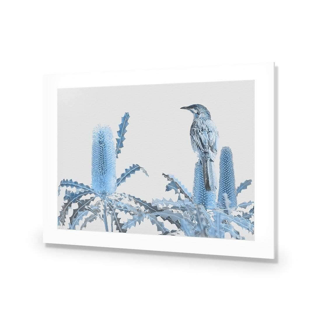 Banksia Beauty and Wattlebird - Wall Art Designs - AU_1115_AR_H WAD_AP - 030 - MAT_45x30_NONE