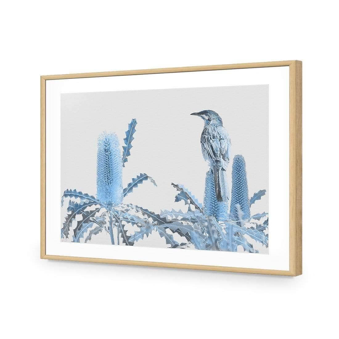 Banksia Beauty and Wattlebird - Wall Art Designs - AU_1115_AR_H WAD_AP - 030 - MAT_45x30_S - 2538 - OAK