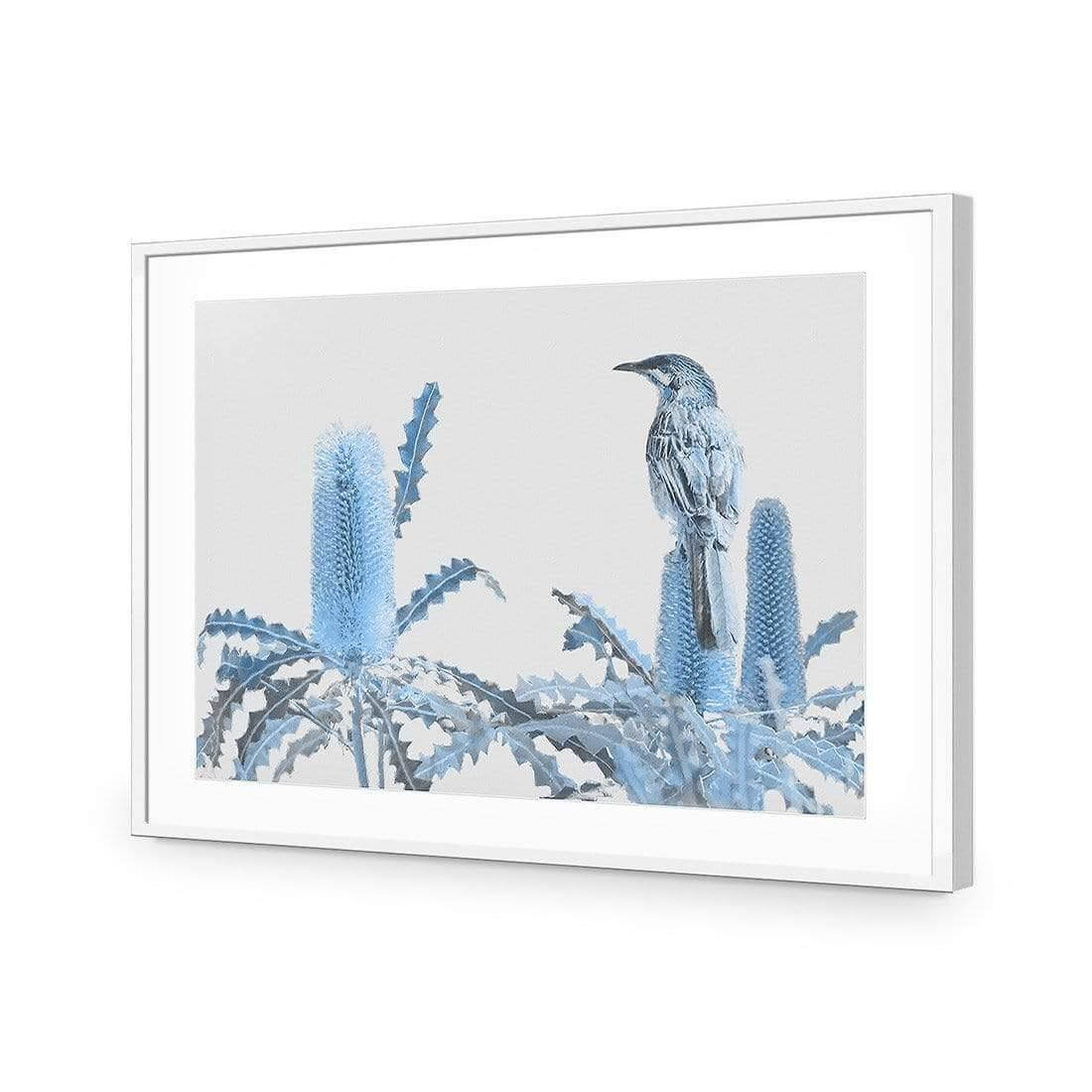 Banksia Beauty and Wattlebird - Wall Art Designs - AU_1115_AR_H WAD_AP - 030 - MAT_45x30_S - 2538 - WHT