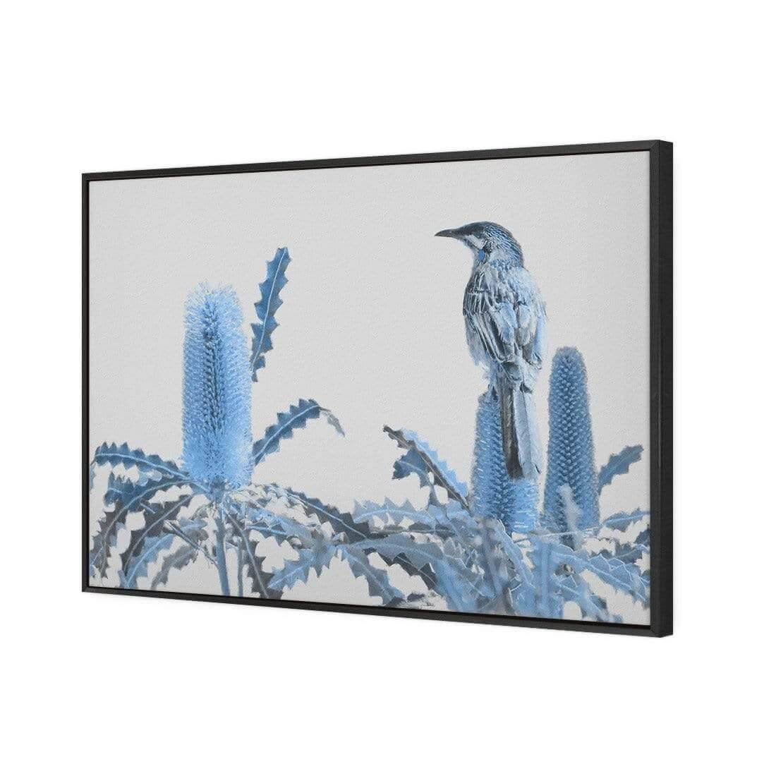 Banksia Beauty and Wattlebird - Wall Art Designs - AU_1115_AR_H WAD_CP - MPY - 260 - M - S - S_45x30_S - 1550 - BLK