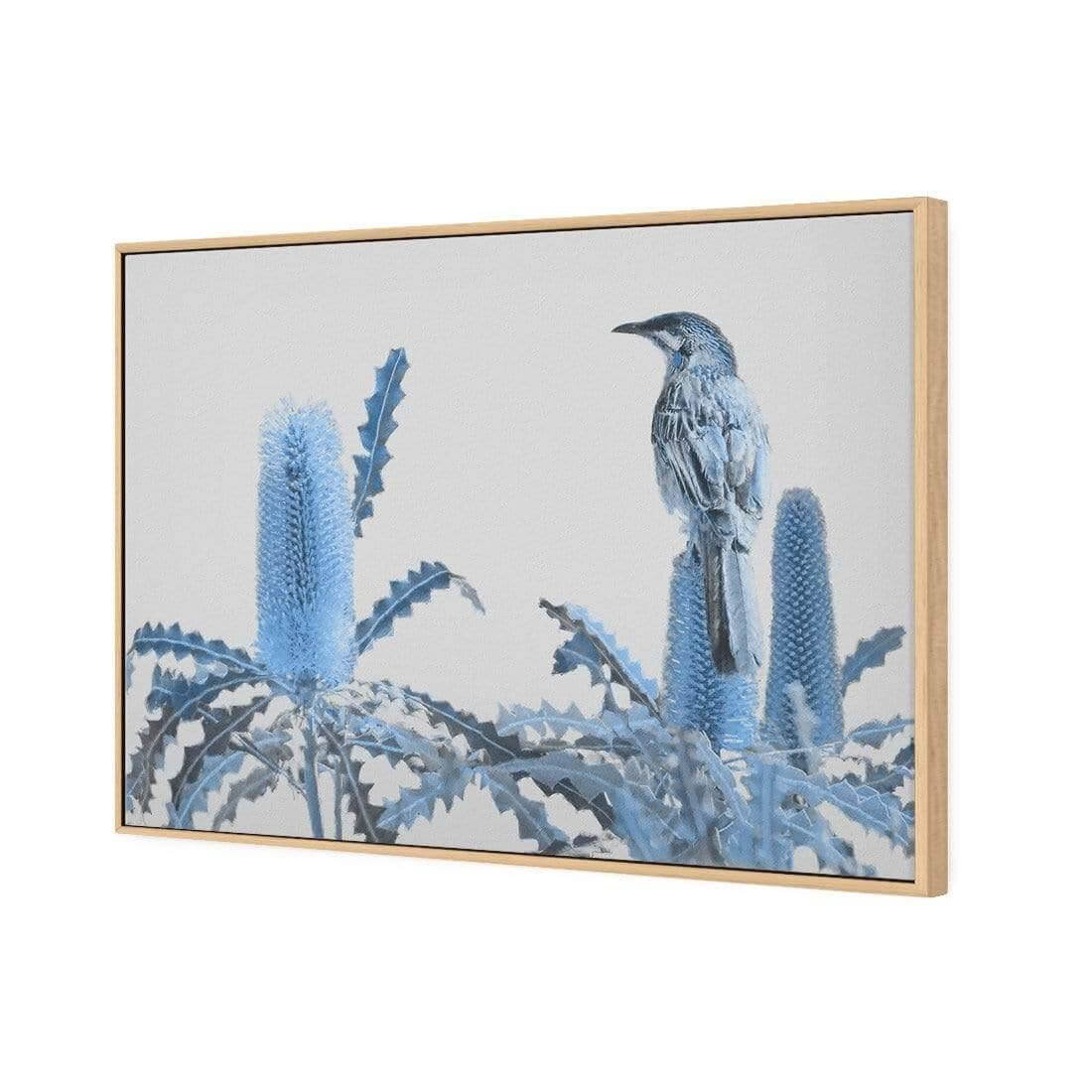 Banksia Beauty and Wattlebird - Wall Art Designs - AU_1115_AR_H WAD_CP - MPY - 260 - M - S - S_45x30_S - 1550 - OAK