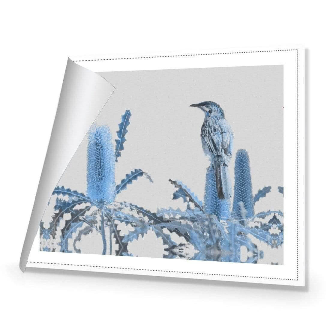 Banksia Beauty and Wattlebird - Wall Art Designs - AU_1115_AR_H WAD_CP - MPY - 260 - M - R_45x30_NONE