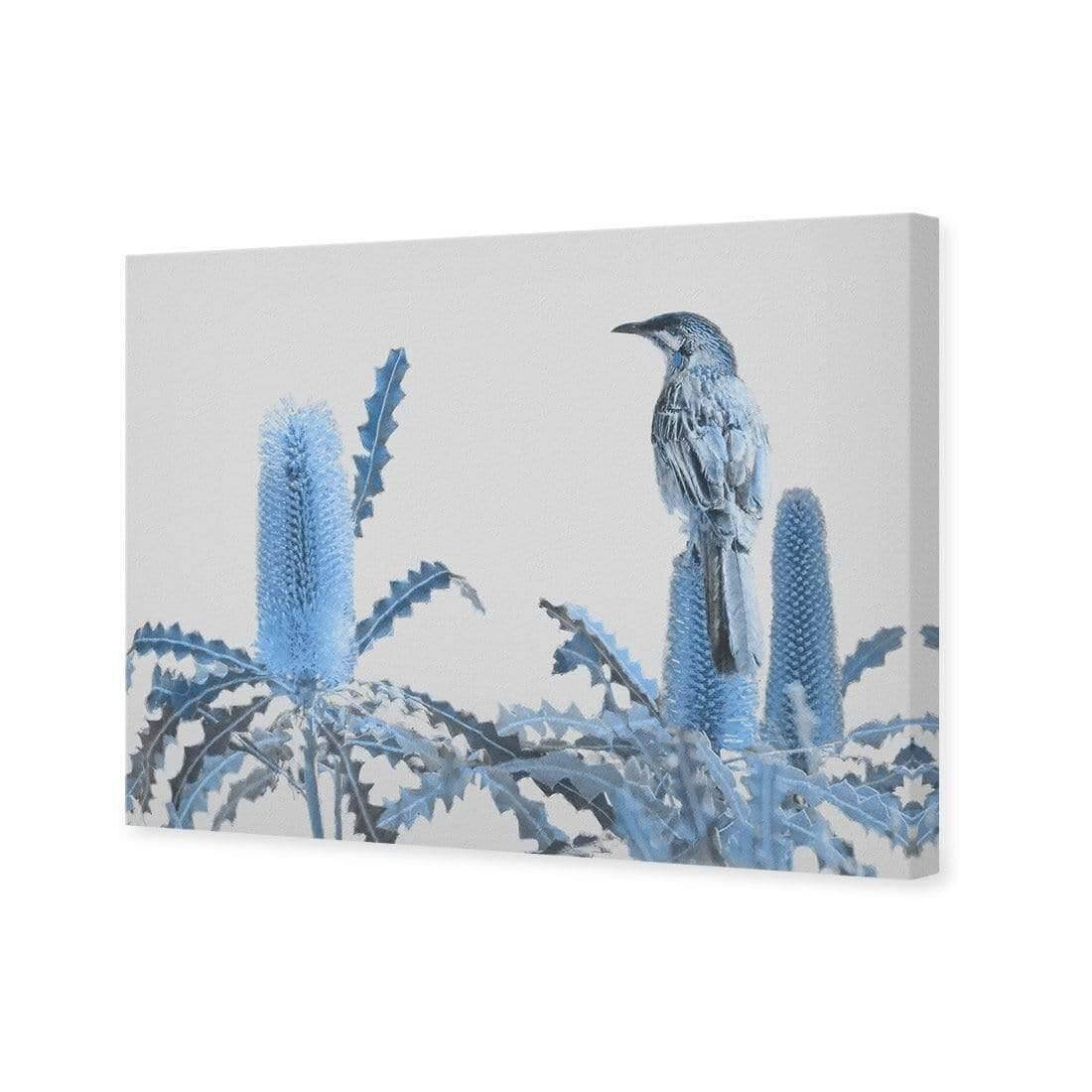 Banksia Beauty and Wattlebird - Wall Art Designs - AU_1115_AR_H WAD_CP - MPY - 260 - M - S - S_45x30_NONE