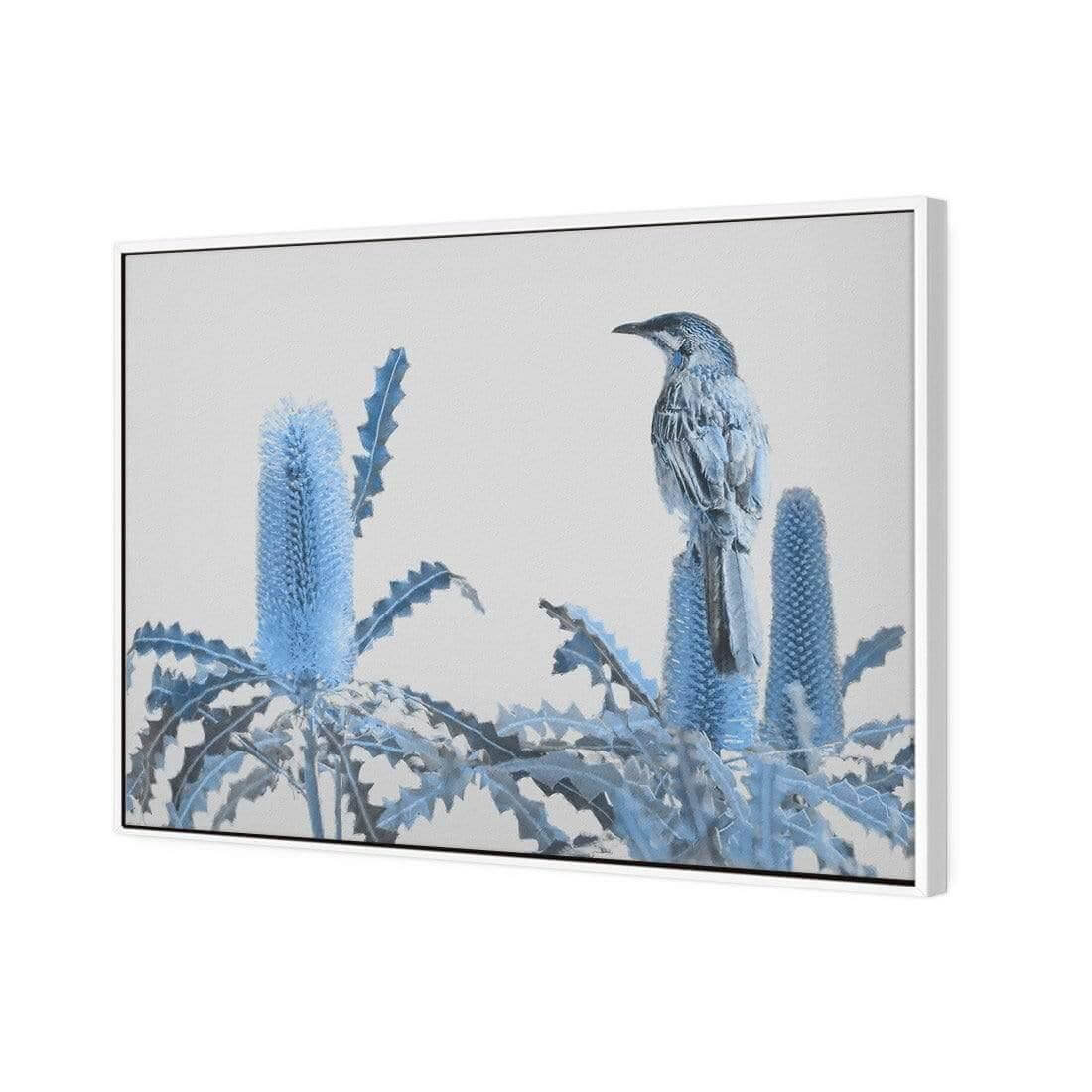 Banksia Beauty and Wattlebird - Wall Art Designs - AU_1115_AR_H WAD_CP - MPY - 260 - M - S - S_45x30_S - 1550 - WHT