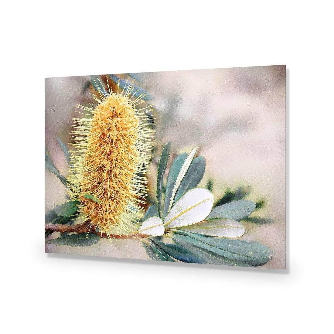 Banksia of Gold - Wall Art Designs - AU_1104_AR_H WAD_AP - 030 - EDG_45x30_NONE