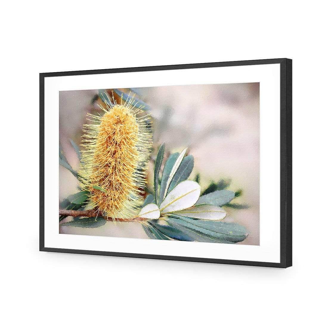 Banksia of Gold - Wall Art Designs - AU_1104_AR_H WAD_AP - 030 - MAT_45x30_S - 2538 - BLK