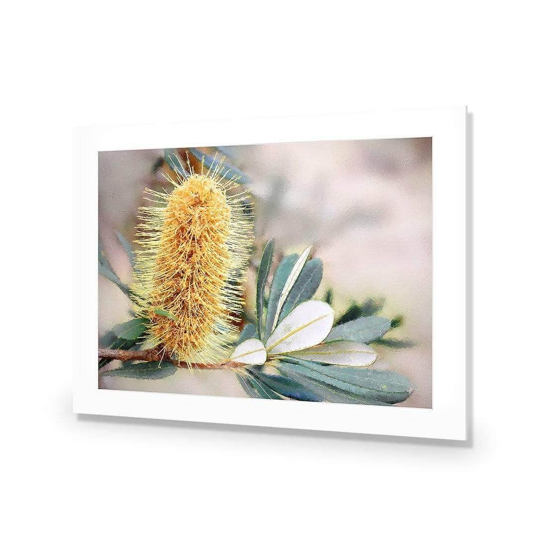 Banksia of Gold - Wall Art Designs - AU_1104_AR_H WAD_AP - 030 - MAT_45x30_NONE