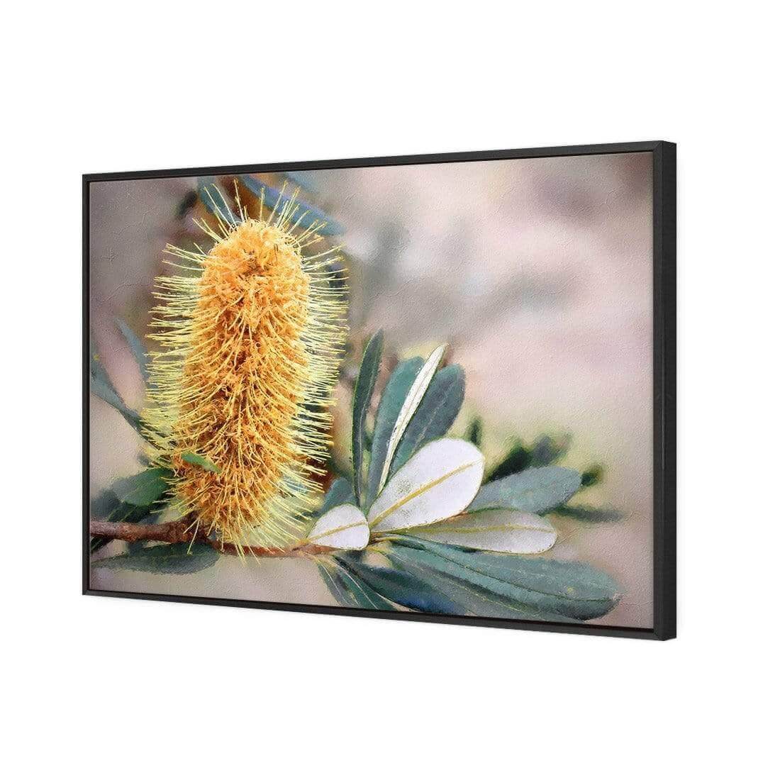 Banksia of Gold - Wall Art Designs - AU_1104_AR_H WAD_CP - MPY - 260 - M - S - S_45x30_S - 1550 - BLK