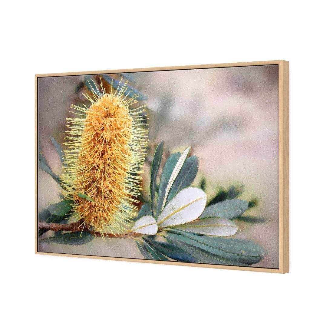 Banksia of Gold - Wall Art Designs - AU_1104_AR_H WAD_CP - MPY - 260 - M - S - S_45x30_S - 1550 - OAK