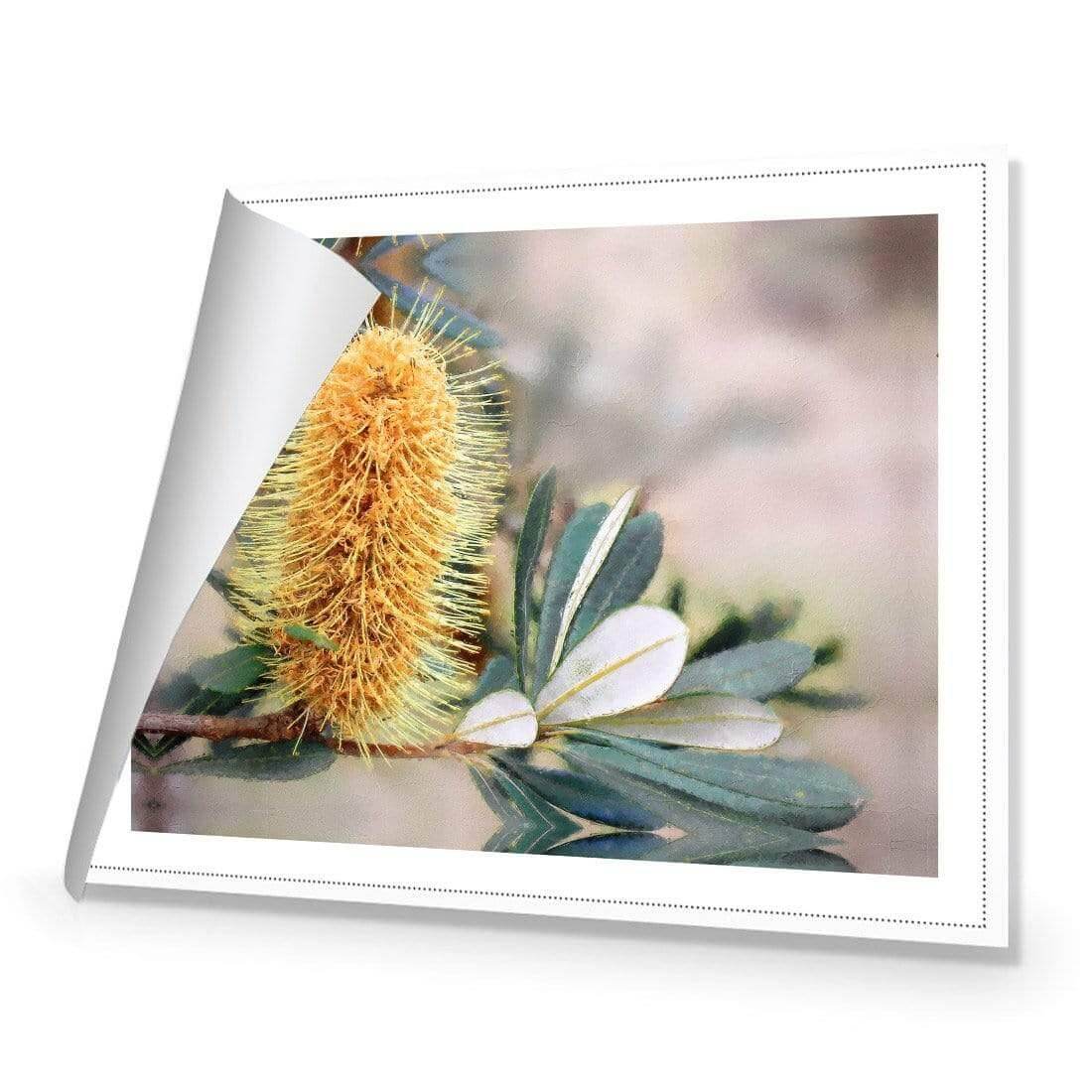 Banksia of Gold - Wall Art Designs - AU_1104_AR_H WAD_CP - MPY - 260 - M - R_45x30_NONE